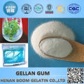 Special supply gellan gum in ice cream